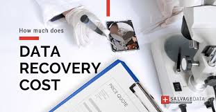 Data Recovery Services: Cost, Options, and Best Providers